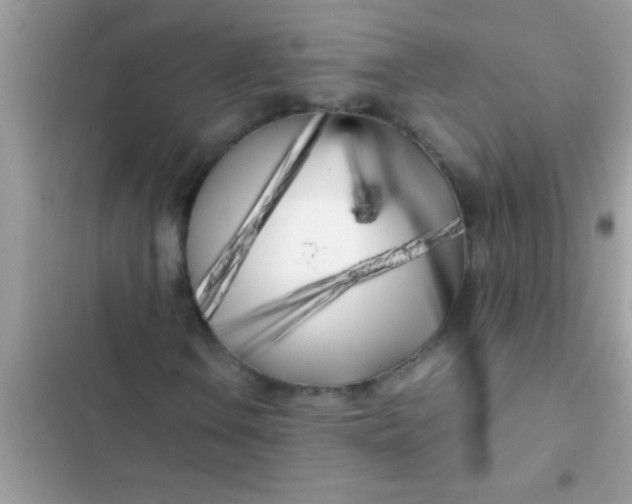 X0000103311106200809191911