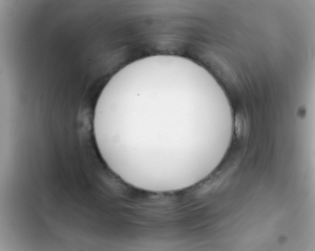X0000103311107200809191911