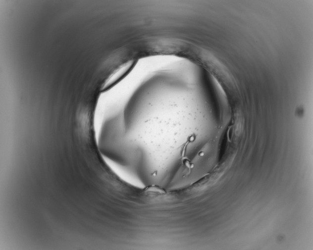 X0000103311108200809191911
