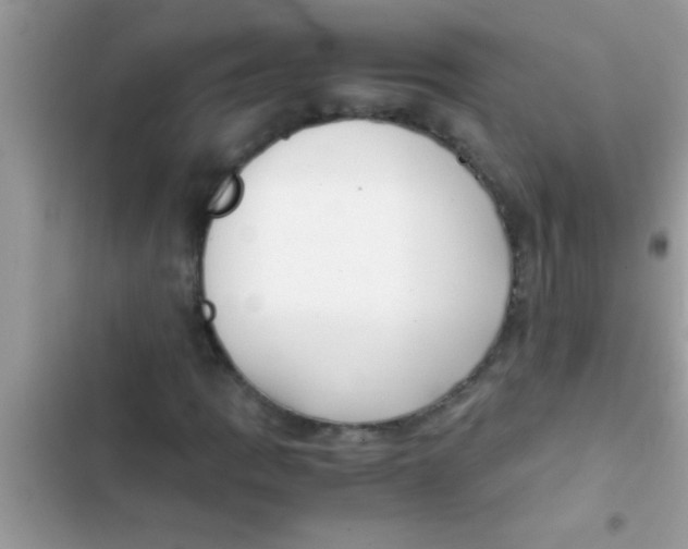 X0000103311109200809191911