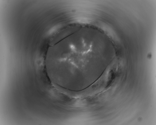 X0000103311110200809191911