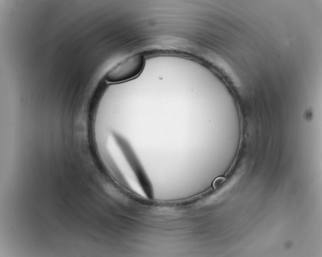 X0000103311114200809191912