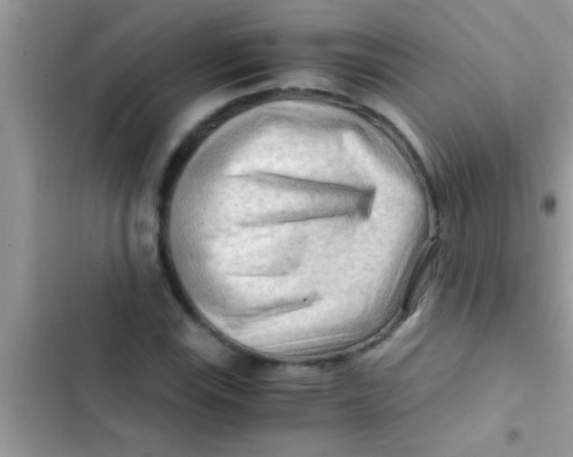 X0000103311115200809191912