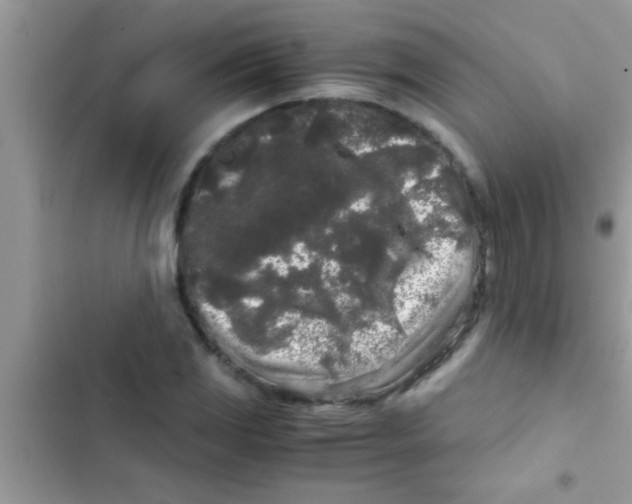 X0000103311117200809191912