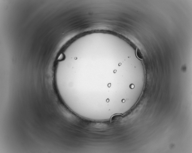 X0000103311119200809191912