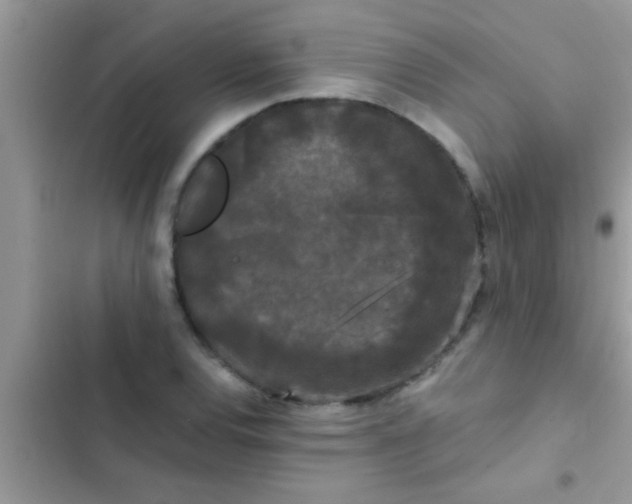 X0000103311120200809191912