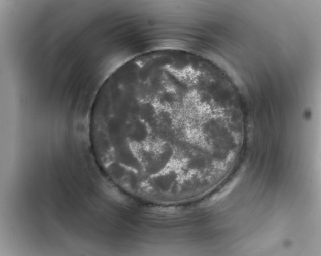 X0000103311121200809191912