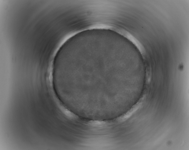 X0000103311124200809191912