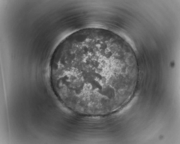 X0000103311125200809191912