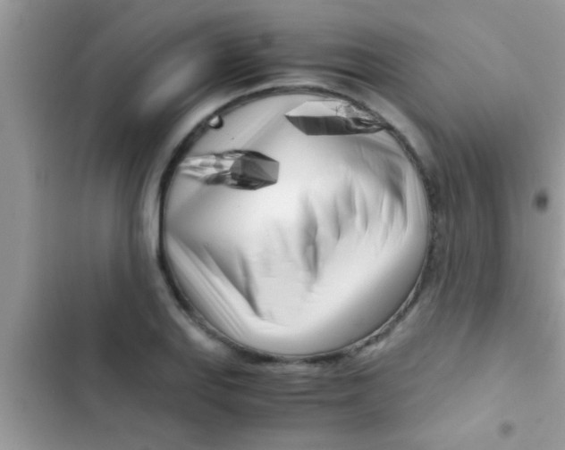 X0000103311127200809191912