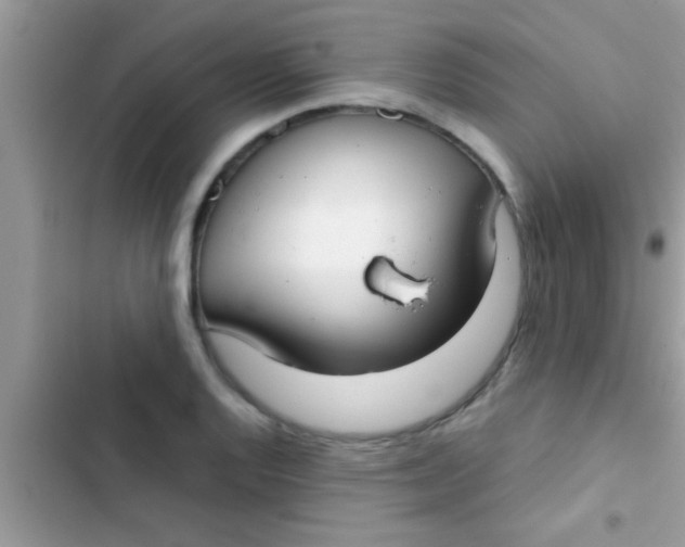 X0000103311128200809191912