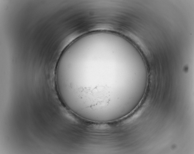 X0000103311129200809191912