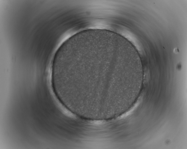 X0000103311130200809191912