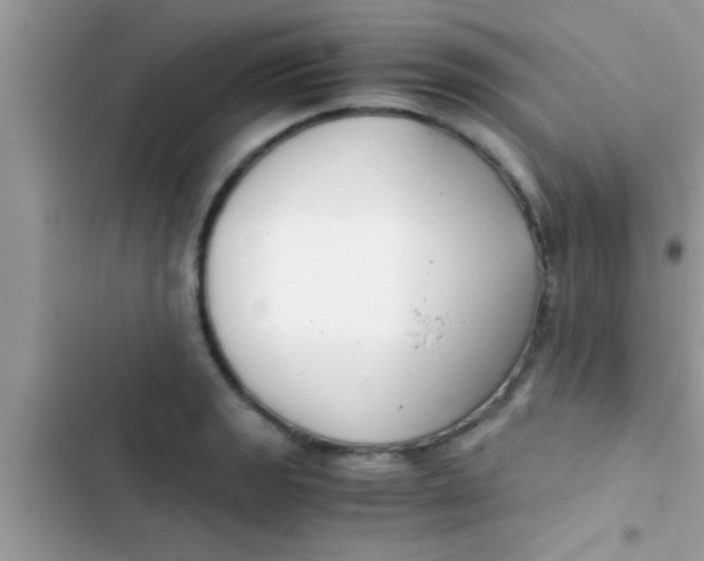 X0000103311133200809191912