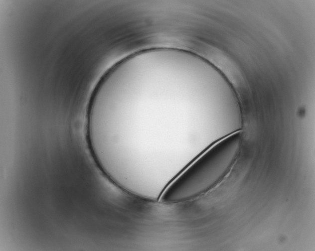 X0000103311136200809191912