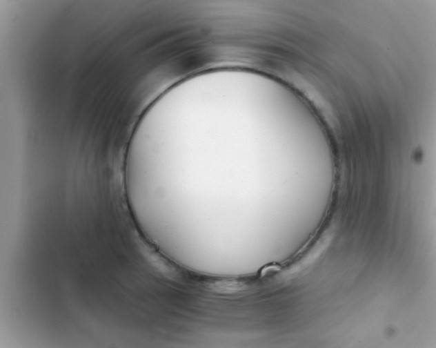 X0000103311137200809191912