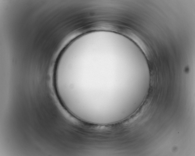 X0000103311139200809191912