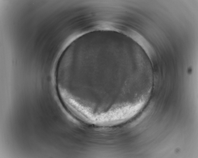 X0000103311141200809191912