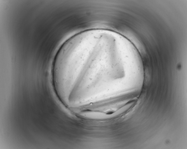 X0000103311142200809191912