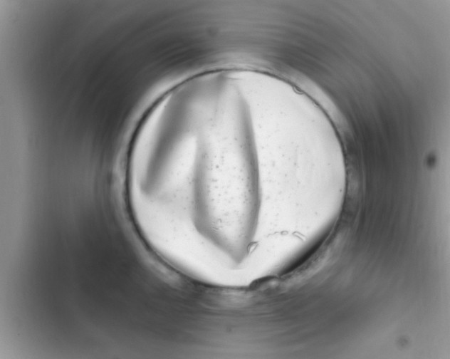 X0000103311144200809191912