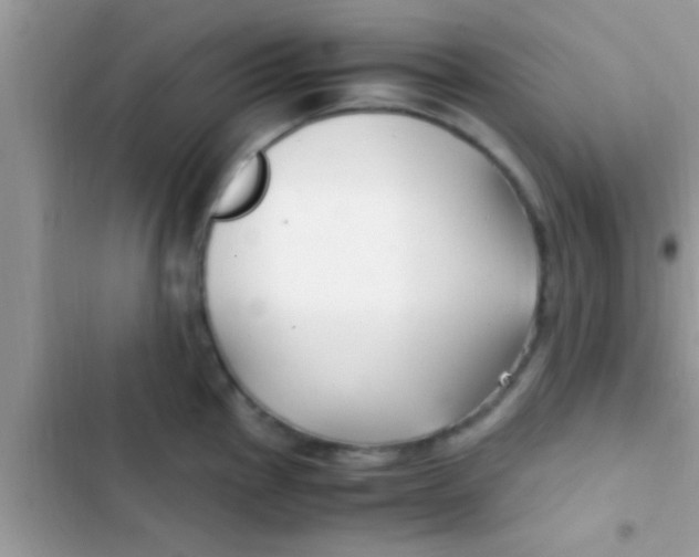 X0000103311145200809191912