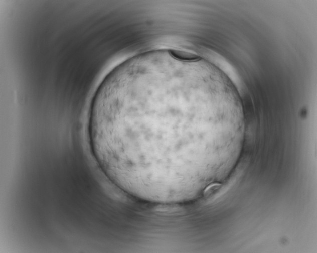 X0000103311146200809191912