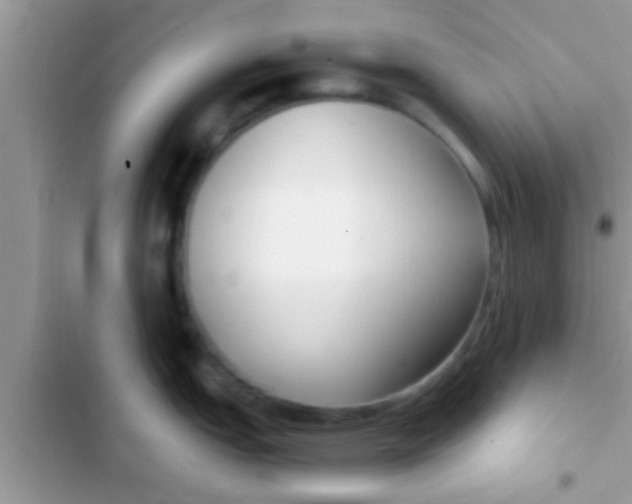 X0000103311151200809191912