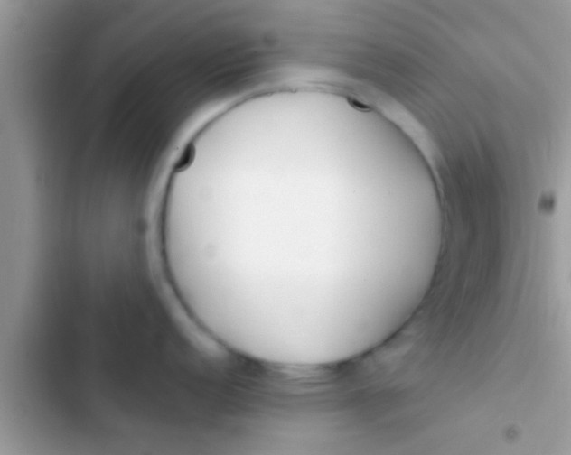 X0000103311152200809191912