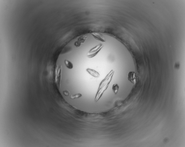 X0000103311154200809191911