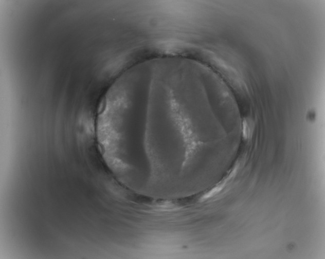X0000103311155200809191911