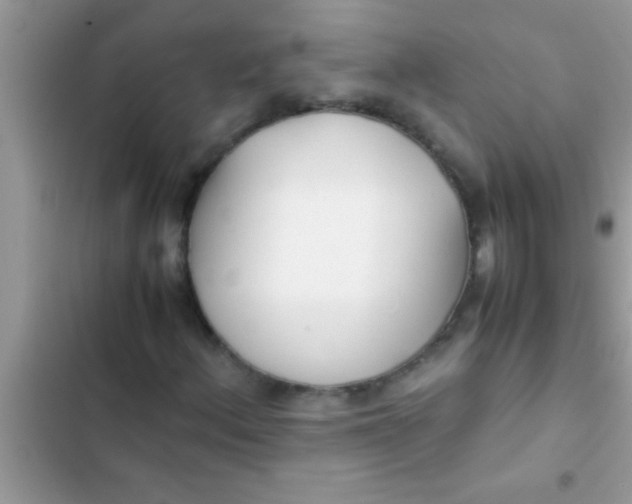X0000103311156200809191911