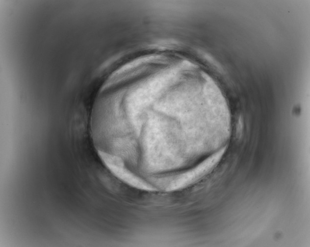 X0000103311158200809191911