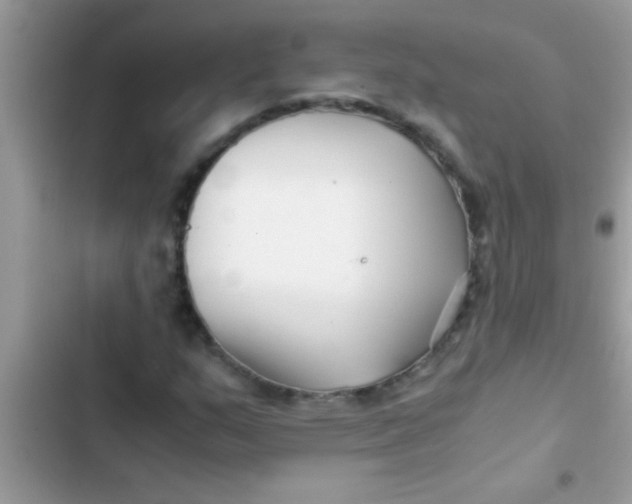 X0000103311159200809191911