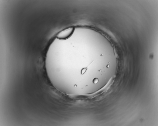 X0000103311160200809191911