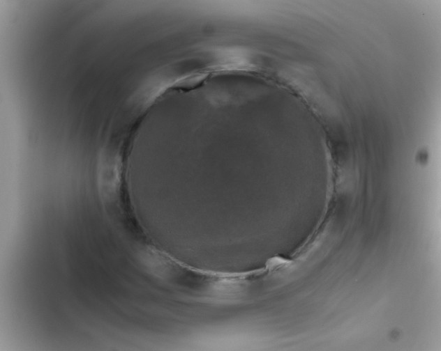 X0000103311161200809191911