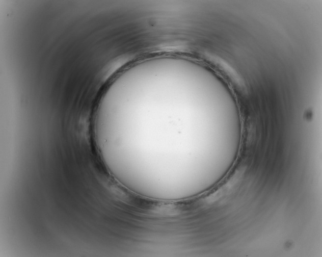 X0000103311162200809191911