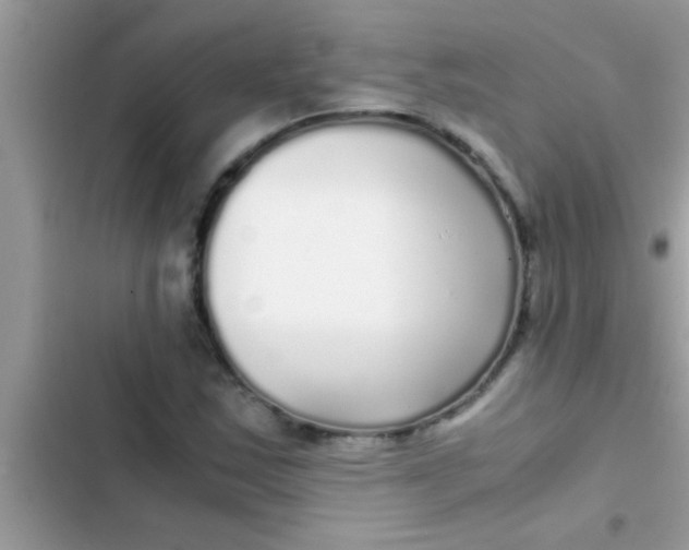 X0000103311163200809191911