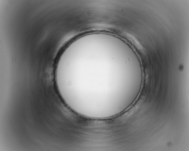 X0000103311164200809191911