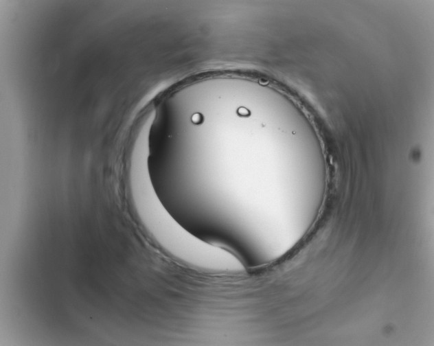 X0000103311165200809191911