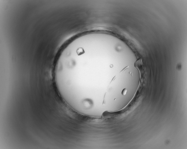 X0000103311166200809191911