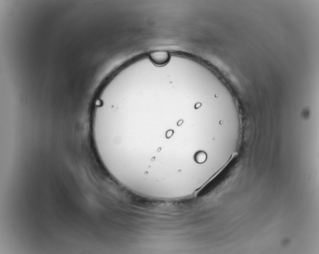 X0000103311167200809191911