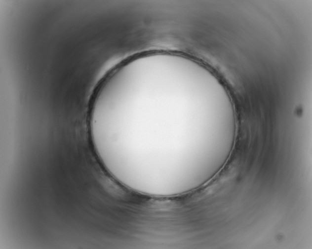 X0000103311168200809191911