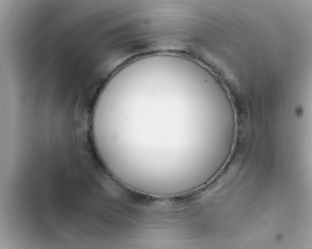 X0000103311169200809191911