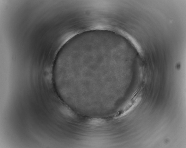X0000103311170200809191911