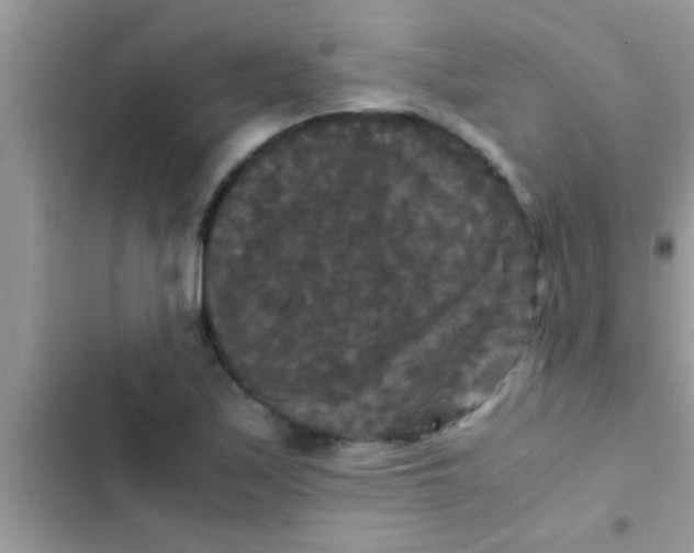X0000103311171200809191911