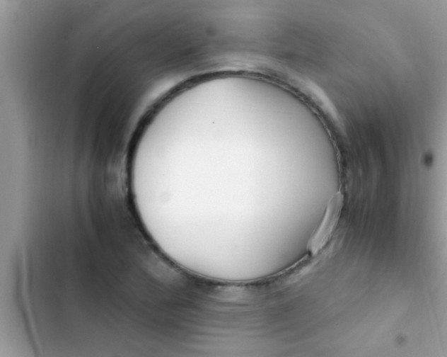 X0000103311172200809191911
