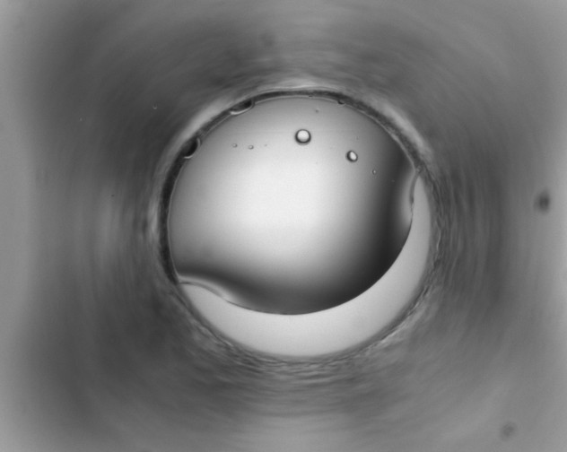 X0000103311173200809191911