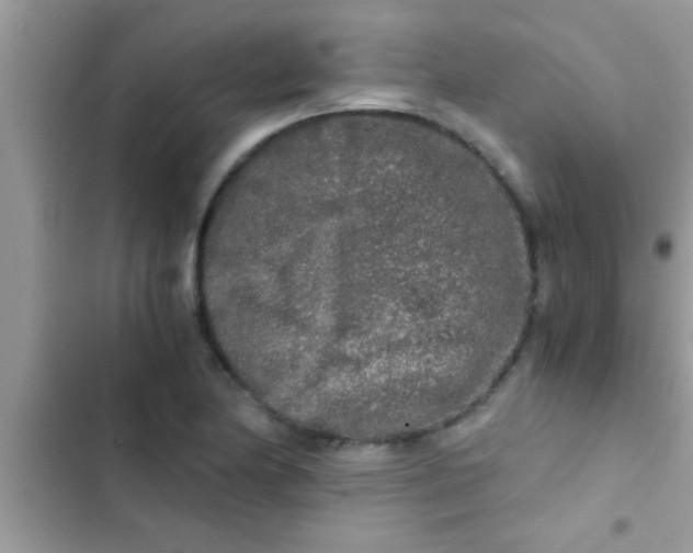 X0000103311174200809191911