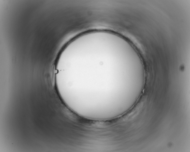X0000103311175200809191911