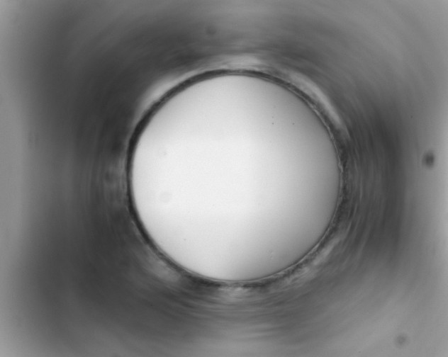 X0000103311176200809191911